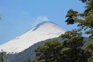 a snow covered mountain with trees in the foreground at Cabaña 2 Dos Laureles in Coñaripe