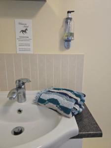a bathroom sink with a towel sitting on it at Family Room in Llanidloes