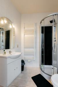 une salle de bain avec une douche, un lavabo et un miroir dans l'établissement Maison du Beffroi de Mons centre ville, à Mons 9 autres photos