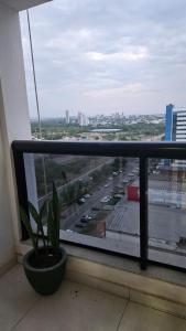 ein Fenster mit einer Topfpflanze auf einem Fensterbrett in der Unterkunft Flat Valedo in Palmas
