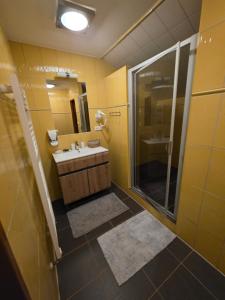 ein Badezimmer mit Waschbecken, Dusche und Spiegel in der Unterkunft Penzion Bedřiška Kraslice in Kraslice