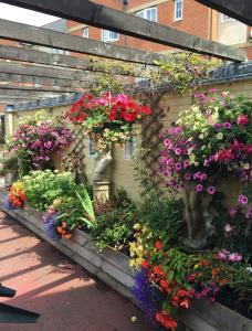 a garden with colorful flowers on a brick wall at Halstead Rooms in Halstead