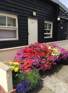 a bunch of flowers in front of a house at Halstead Rooms in Halstead