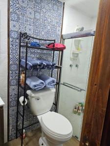 a bathroom with a toilet and a shower at Casa Selva Escondida in Los Altos de Cerro Azul +21 photos