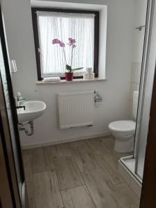 a bathroom with a sink and a toilet and a window at Gasthof Schrätzenstaller in Hettenshausen