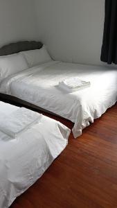 Postel nebo postele na pokoji v ubytování 4 double 1 single and 1 Sofa Beds House, 638A Te Ngae Road