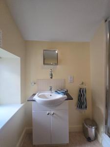 TV a/nebo společenská místnost v ubytování Twin room