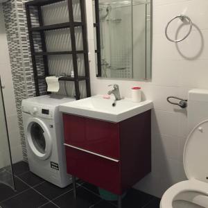 a bathroom with a washing machine and a sink at Apartments Neda in Drače