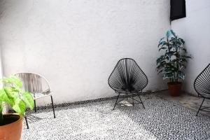 three chairs sitting next to a wall with plants at Bounaterra Lofts in León