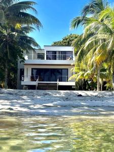 une maison sur la plage avec des palmiers dans l'établissement Mayatai Beach Villa - Elegant 2BR Beachfront with Stunning Ocean Views, à Placencia