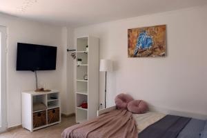 TV a/nebo společenská místnost v ubytování Teona-Apartments