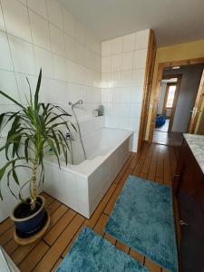 Un baño con bañera y una planta en maceta. en Chez Pierre et Fabienne, en Le Locle
