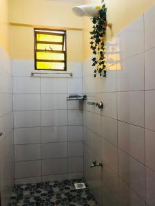 a bathroom with a shower with a window at Kisumu Airview Homestay in Kisumu