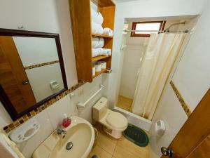 a bathroom with a toilet and a sink and a mirror at Fundo Venegas & Montoya in Jauja +42 photos