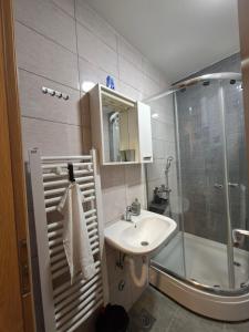 a small bathroom with a sink and a shower at Stan na dan Ramonda in Donje Mladice