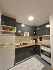a kitchen with black cabinets and a white refrigerator at Stan na dan Ramonda in Donje Mladice