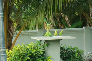 three birds are sitting on a bird stand at Vimansa International Meditation and Retreat Centre in Ambalangoda