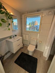 a small bathroom with a toilet and a sink at Jönåker Cottage & Sauna in Jönåker