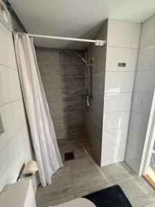 a bathroom with a shower and a toilet at Jönåker Cottage & Sauna in Jönåker +3 photos