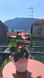 Naturlandskabet i nærheden af lejligheden + 3 billeder