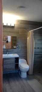 a bathroom with a toilet and a sink at Hotel Boutique Frutos del bosque de Zacatlan in Jicolapa