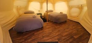 Ένα ή περισσότερα κρεβάτια σε δωμάτιο στο Glamping Río Serrano - Caja Los Andes