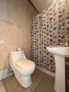 a bathroom with a toilet and a sink at Hotel California in Temuco