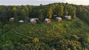an aerial view of a house in a forest at The Summit - 4 cabin getaway for 20 guests with views in Bryant