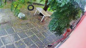 Κήπος έξω από το La Casa dei Pioppi