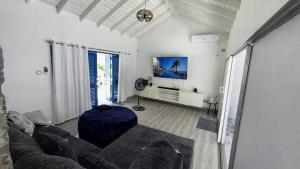 a living room with a couch and a flat screen tv at The GRΣΣK Cottage in Kingstown