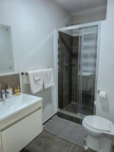 a bathroom with a shower with a toilet and a sink at Tranquil Haven Suites in Gaborone
