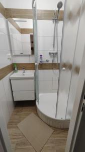 a bathroom with a shower and a sink at Apartmán V Kraslicích pro 4 osoby, Pohraniční stráže in Kraslice