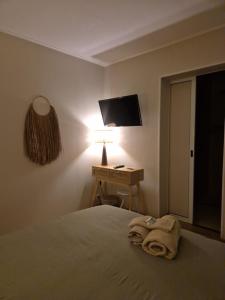 una camera con letto, scrivania e TV di Chez Hélène a Bordeaux