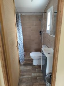 une petite salle de bain avec toilettes et lavabo dans l'établissement Petite maison de charme, à LʼIsle-sur-la-Sorgue