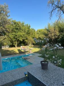 a swimming pool in a yard with a garden at Prenoćiste Casa Bella & Nova in Palić +16 photos