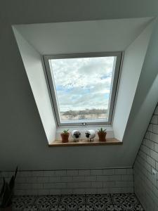 a skylight in a bathroom with a window at Ferienwohnung Südtondern in Uphusum