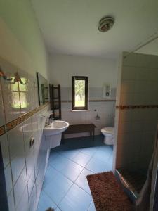 a bathroom with a sink and a toilet at Domki Bartoszówka 