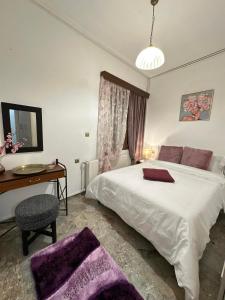 a bedroom with a bed and a desk and a chair at Lydias house II in Arachova