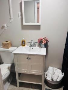 a bathroom with a sink and a toilet and a mirror at The Layover Lounge in Elizabeth