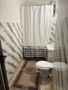 a bathroom with a toilet and a shower curtain at Apartament 2 camere in Craiova