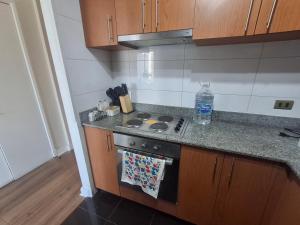 a kitchen with a stove and a counter top at Departamento centro Viña del Mar in Viña del Mar