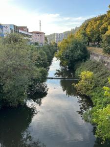 a river with trees and buildings in a city at La minisuite de Goxua in Llodio