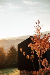 a tree in a vase next to a building at Hapfn Tiny House am Aichberg mit Hot Tub und Blick ins Grüne in Eibiswald