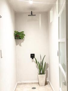 Φωτογραφία από το άλμπουμ του Casa Mi Ranchito σε Τολούκα