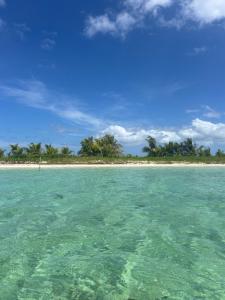 a view of a beach with trees and the water at Mango-passion Le Domaine Mannou in Sainte-Rose +14 photos