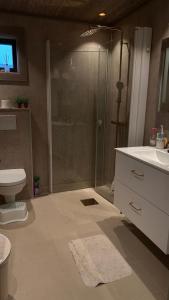 a bathroom with a shower and a toilet and a sink at Steineveien 300 in Vestvågøya