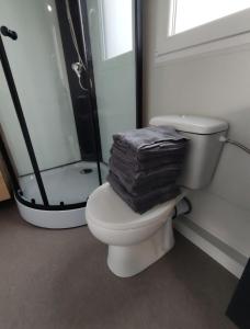 a bathroom with a toilet with two towels on it at Mobile home RIA in Privlaka +20 photos