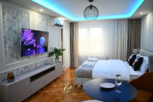 a bedroom with a large bed and a tv on a wall at Carpe Diem Spa Apartman in Teslić