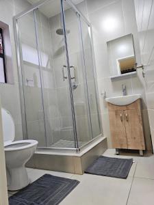 a bathroom with a shower and a toilet and a sink at Eland Ridge in Boksburg