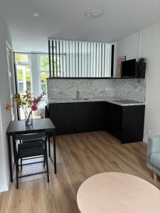 Η κουζίνα ή μικρή κουζίνα στο Studio Fnidsen